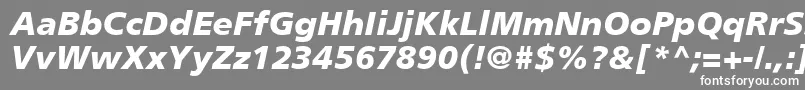 PalmaBlackSsiBlackItalic Font – White Fonts on Gray Background