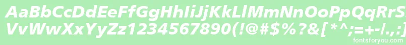 PalmaBlackSsiBlackItalic Font – White Fonts on Green Background