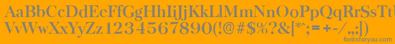 BaskervilleserialBold Font – Gray Fonts on Orange Background