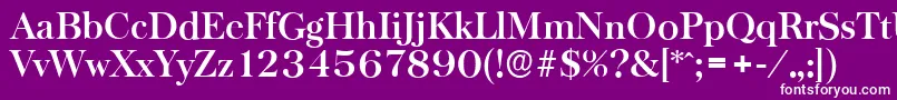 BaskervilleserialBold Font – White Fonts on Purple Background
