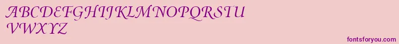 MinionSwashItalic Font – Purple Fonts on Pink Background