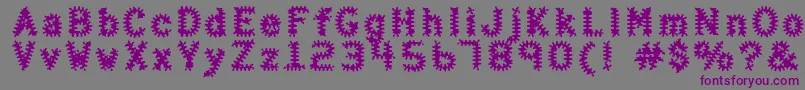 Шрифт HalterAntigenic – фиолетовые шрифты на сером фоне