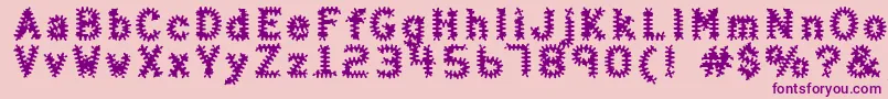 HalterAntigenic Font – Purple Fonts on Pink Background