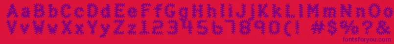 HalterAntigenic Font – Purple Fonts on Red Background