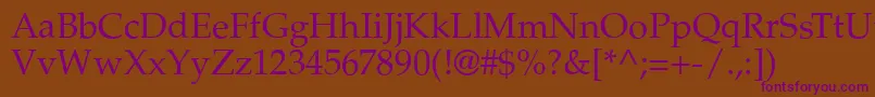 PalazzoRegular Font – Purple Fonts on Brown Background