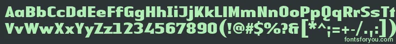 フォントLinotypeAuthenticSansBlack – 黒い背景に緑の文字