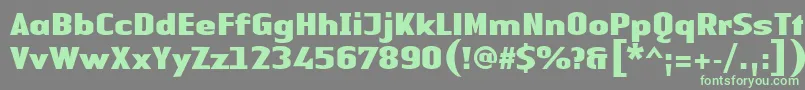 フォントLinotypeAuthenticSansBlack – 灰色の背景に緑のフォント