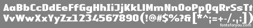 Czcionka LinotypeAuthenticSansBlack – białe czcionki na szarym tle