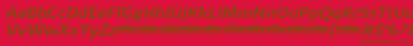 KabrioAlternateBoldItalicTrial Font – Brown Fonts on Red Background