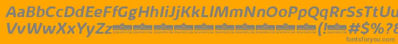 フォントKabrioAlternateBoldItalicTrial – オレンジの背景に灰色の文字