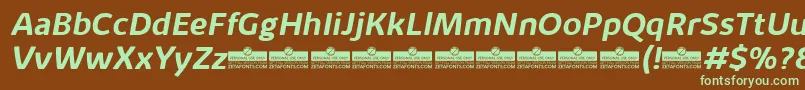 KabrioAlternateBoldItalicTrial Font – Green Fonts on Brown Background