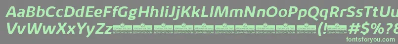 KabrioAlternateBoldItalicTrial Font – Green Fonts on Gray Background