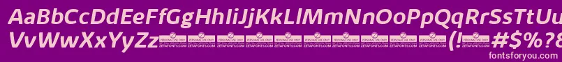 KabrioAlternateBoldItalicTrial Font – Pink Fonts on Purple Background