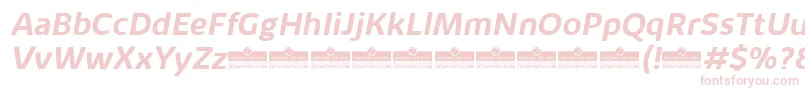 KabrioAlternateBoldItalicTrial Font – Pink Fonts
