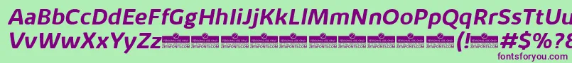 KabrioAlternateBoldItalicTrial Font – Purple Fonts on Green Background