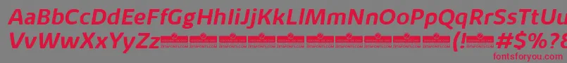 KabrioAlternateBoldItalicTrial Font – Red Fonts on Gray Background