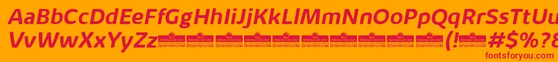 Шрифт KabrioAlternateBoldItalicTrial – красные шрифты на оранжевом фоне
