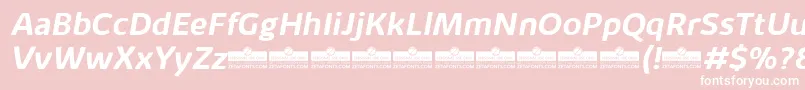 KabrioAlternateBoldItalicTrial Font – White Fonts on Pink Background