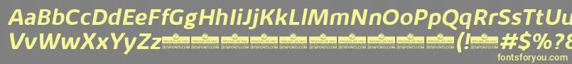 KabrioAlternateBoldItalicTrial Font – Yellow Fonts on Gray Background