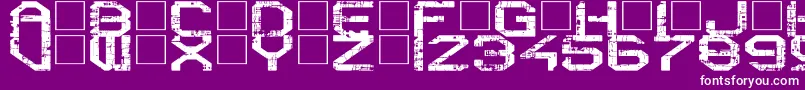 RebootCrush Font – White Fonts on Purple Background