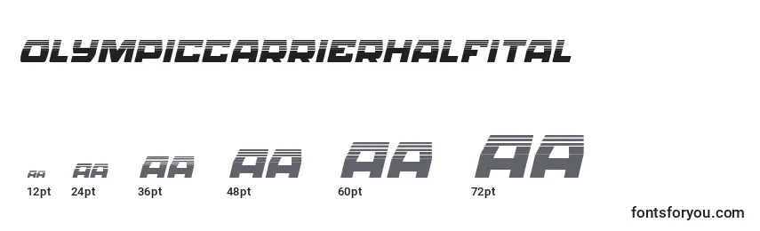 Olympiccarrierhalfital Font Sizes