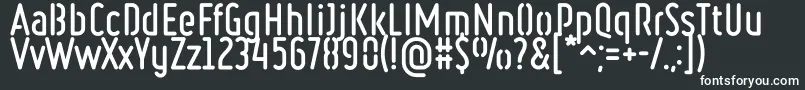 RulerStencilBold Font – White Fonts on Black Background