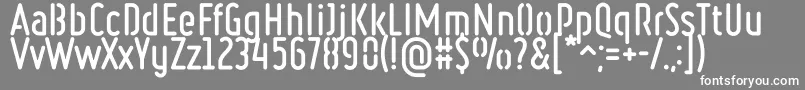 RulerStencilBold Font – White Fonts on Gray Background
