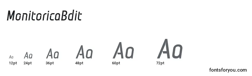 MonitoricaBdit Font Sizes