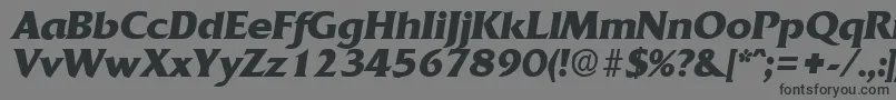 フォントQuadratBoldita – 黒い文字の灰色の背景