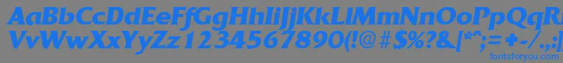 QuadratBoldita Font – Blue Fonts on Gray Background