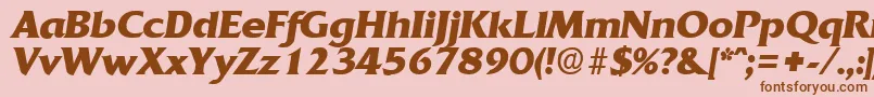 QuadratBoldita Font – Brown Fonts on Pink Background