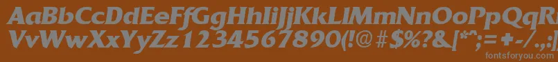 QuadratBoldita-fontti – harmaat kirjasimet ruskealla taustalla
