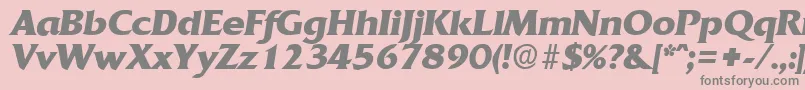 QuadratBoldita Font – Gray Fonts on Pink Background