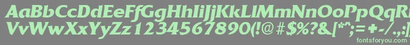 QuadratBoldita Font – Green Fonts on Gray Background