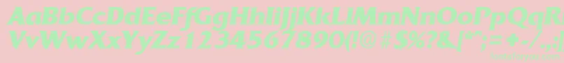 QuadratBoldita Font – Green Fonts on Pink Background