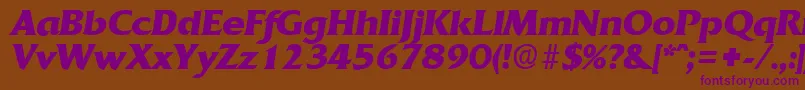 QuadratBoldita Font – Purple Fonts on Brown Background