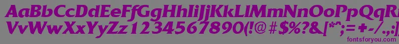 Шрифт QuadratBoldita – фиолетовые шрифты на сером фоне