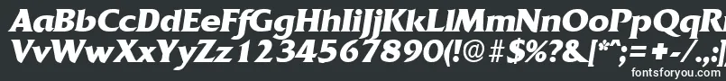 QuadratBoldita Font – White Fonts on Black Background