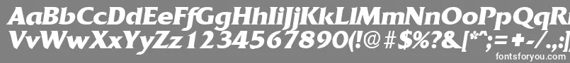 フォントQuadratBoldita – 灰色の背景に白い文字