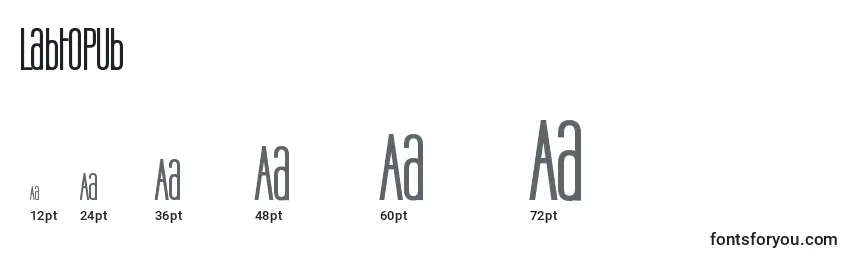 Labtopub Font Sizes