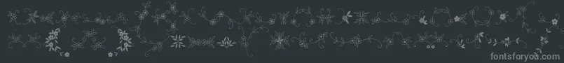 MeninaGraciosaOrnamentsTwo Font – Gray Fonts on Black Background