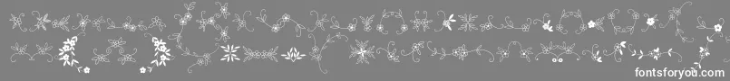 フォントMeninaGraciosaOrnamentsTwo – 灰色の背景に白い文字