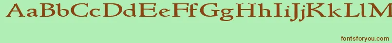 Newstylewide Font – Brown Fonts on Green Background