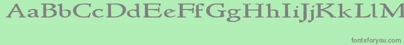 Newstylewide-Schriftart – Graue Schriften auf grünem Hintergrund