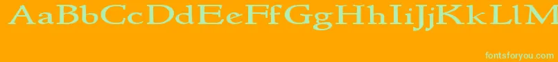 Newstylewide Font – Green Fonts on Orange Background