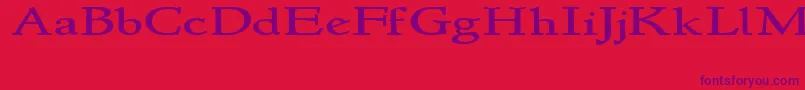 Newstylewide Font – Purple Fonts on Red Background