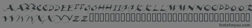 Шрифт Beaui – чёрные шрифты на сером фоне
