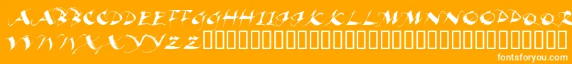 Beaui Font – White Fonts on Orange Background