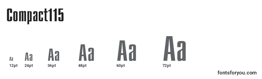 Compact115 Font Sizes