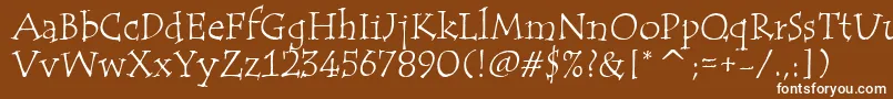 TempusItcTt Font – White Fonts on Brown Background